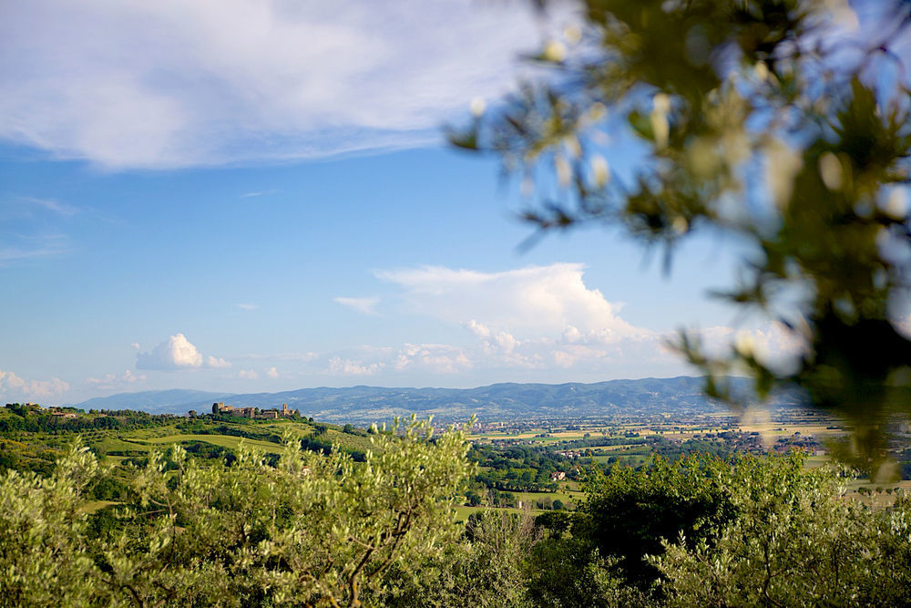 Agriturismo Le Colombe Assisi Exteriör bild