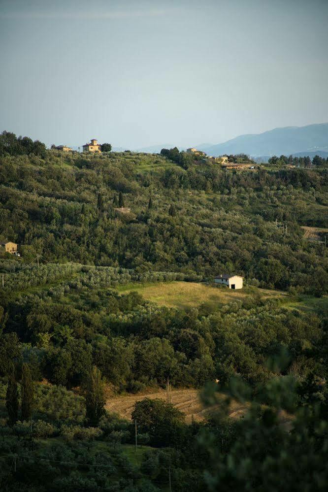 Agriturismo Le Colombe Assisi Exteriör bild